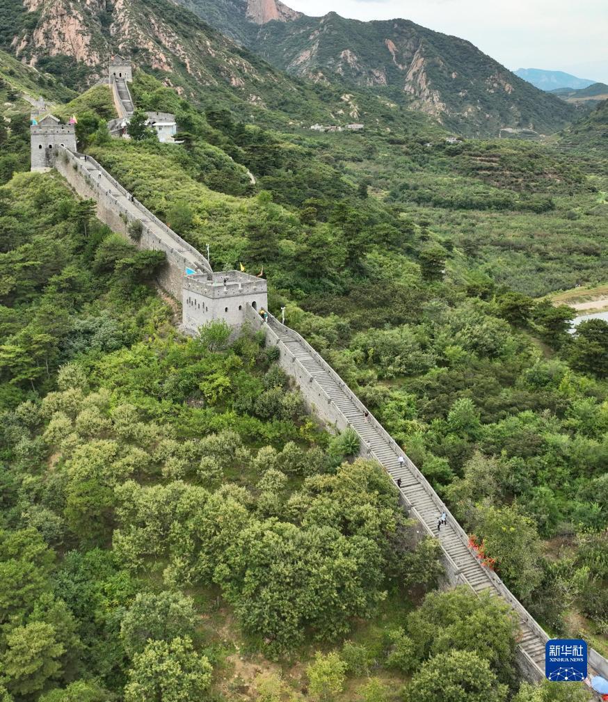 免费领取彩金游戏平台